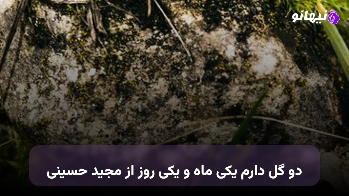 دانلود آهنگ دو گل دارم یکی ماه و یکی روز از مجید حسینی 